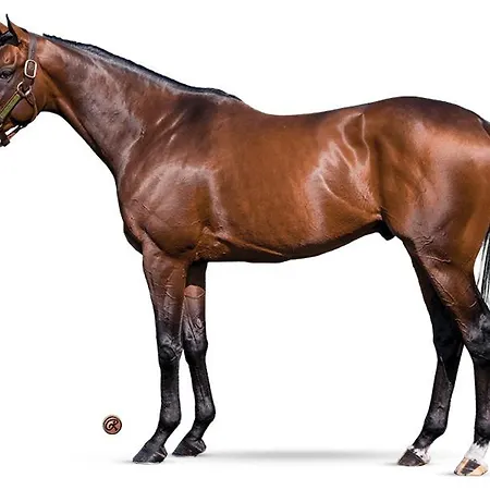 Dans Un A 2 Pas De La Gare Sncf Et A 300m De La Gare Routiere Apartment